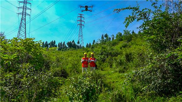 从无人机专业校园到电力巡检一线：技术梦想的落地之旅