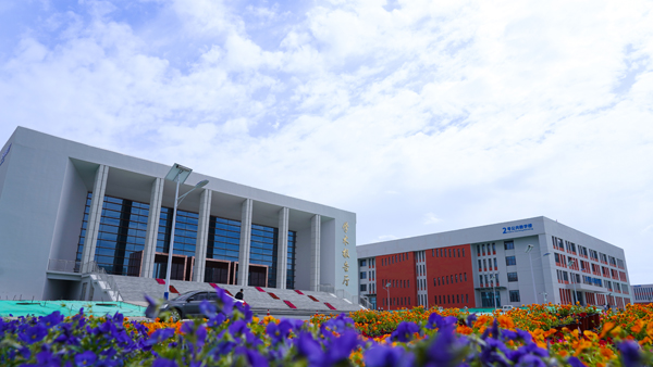 逐梦职教：从中专到大学的逆袭之路