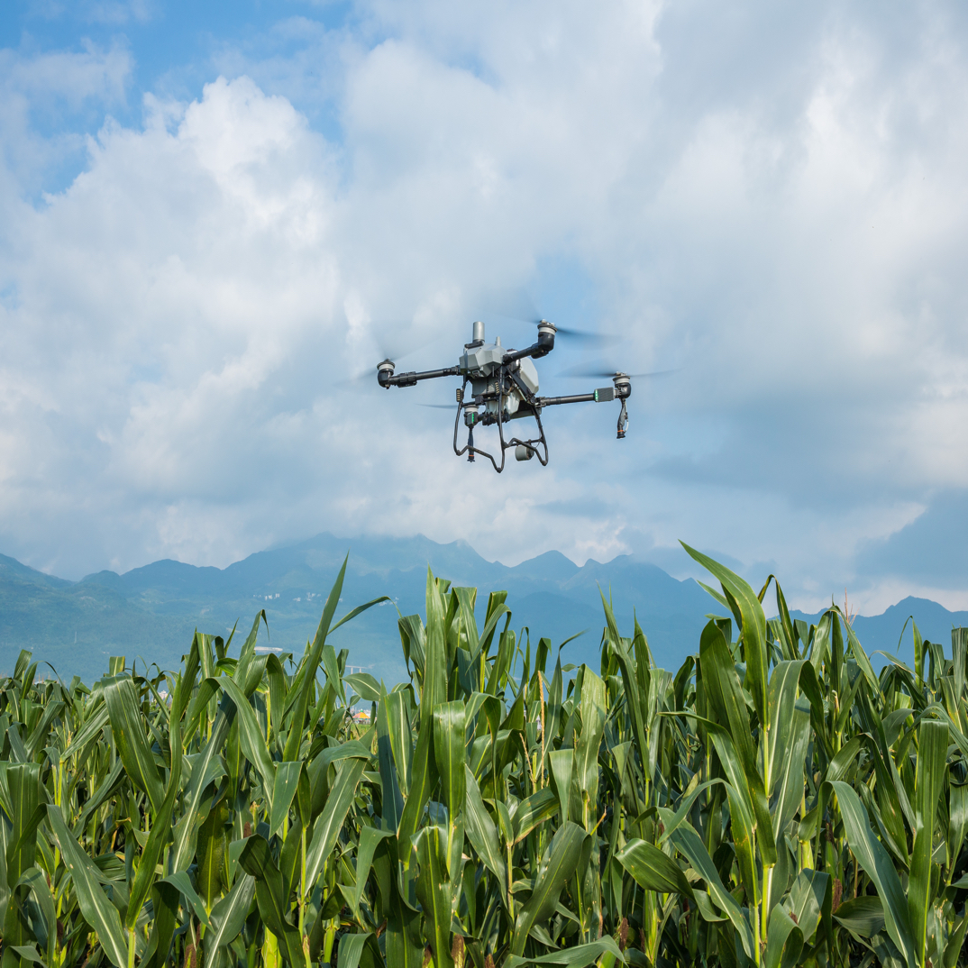 教育类风格_农业无人机.jpeg